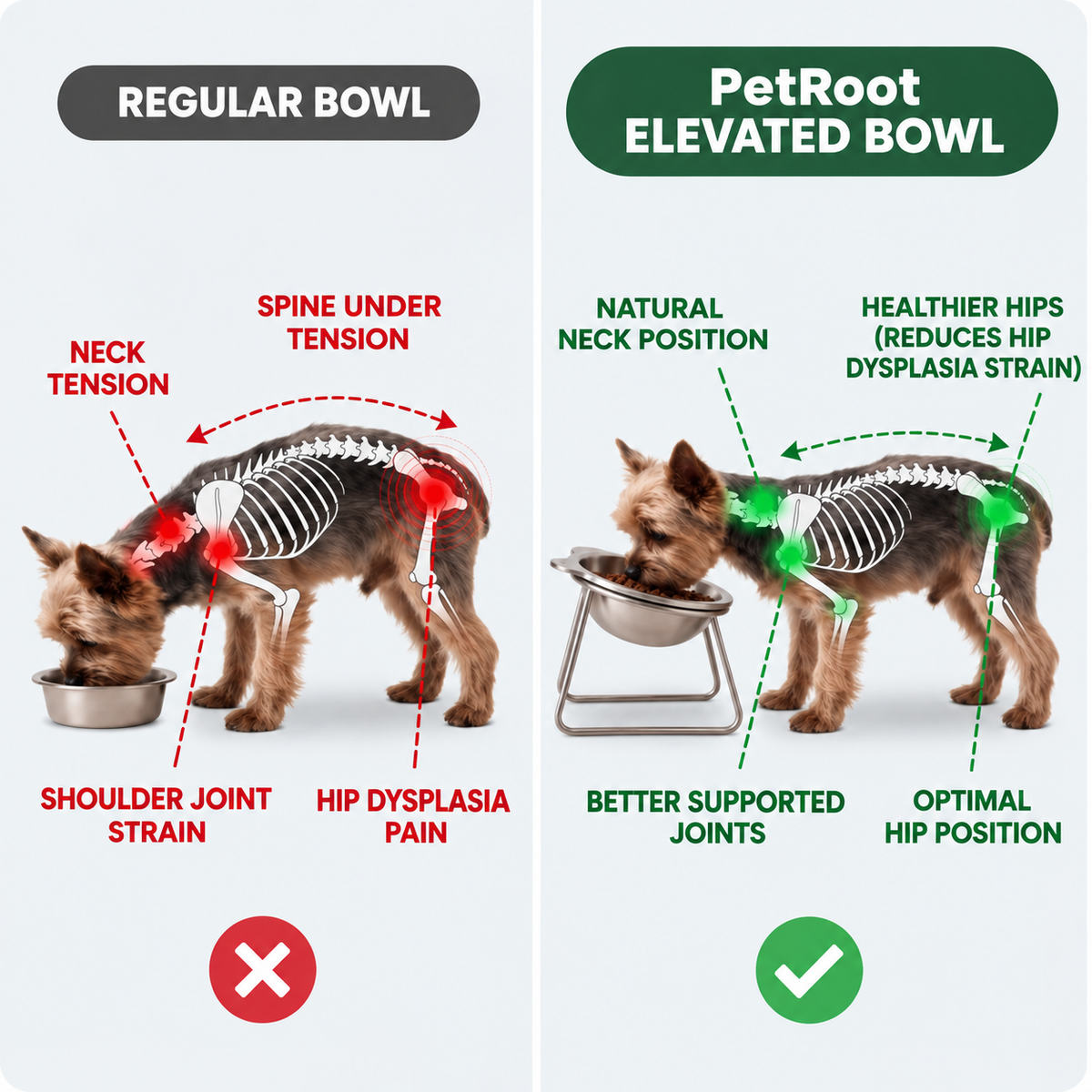 PetRoot™ Orthopedic Stainless Steel Bowl for Small Dogs