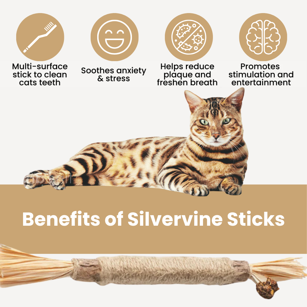 Petroot Pure Silvervine Dental Sticks