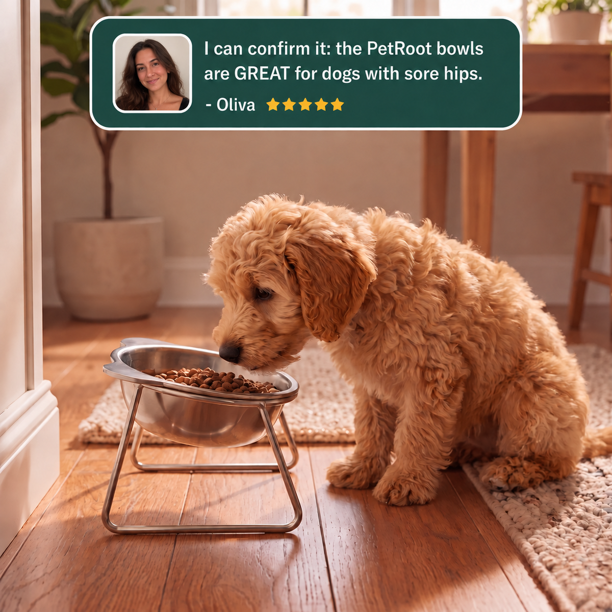 PetRoot™ Orthopedic Stainless Steel Bowl for Small Dogs