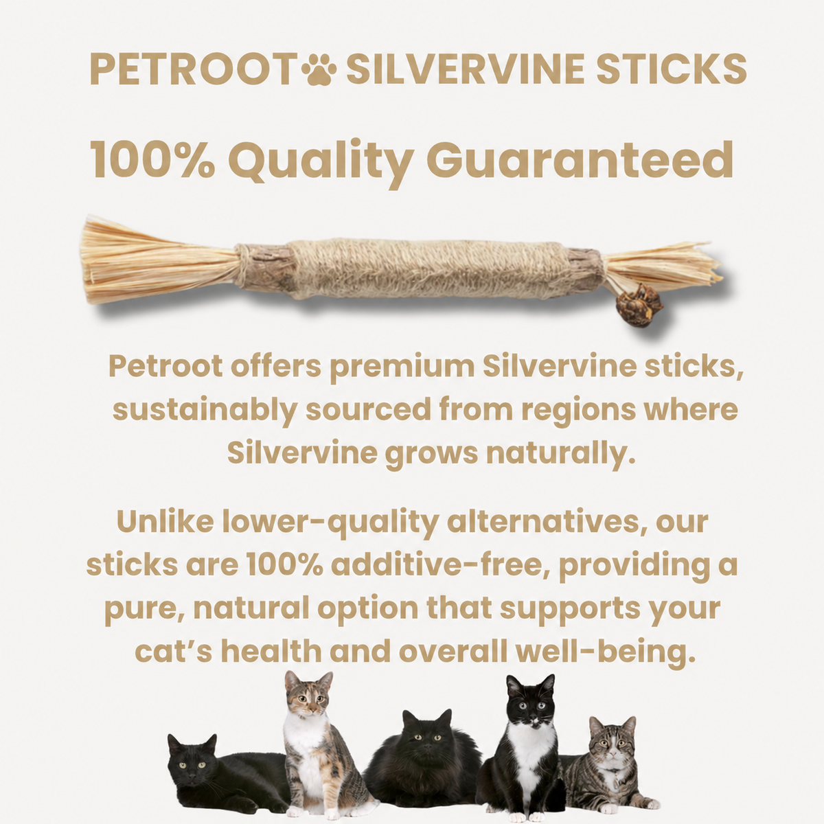 Petroot Pure Silvervine Dental Sticks
