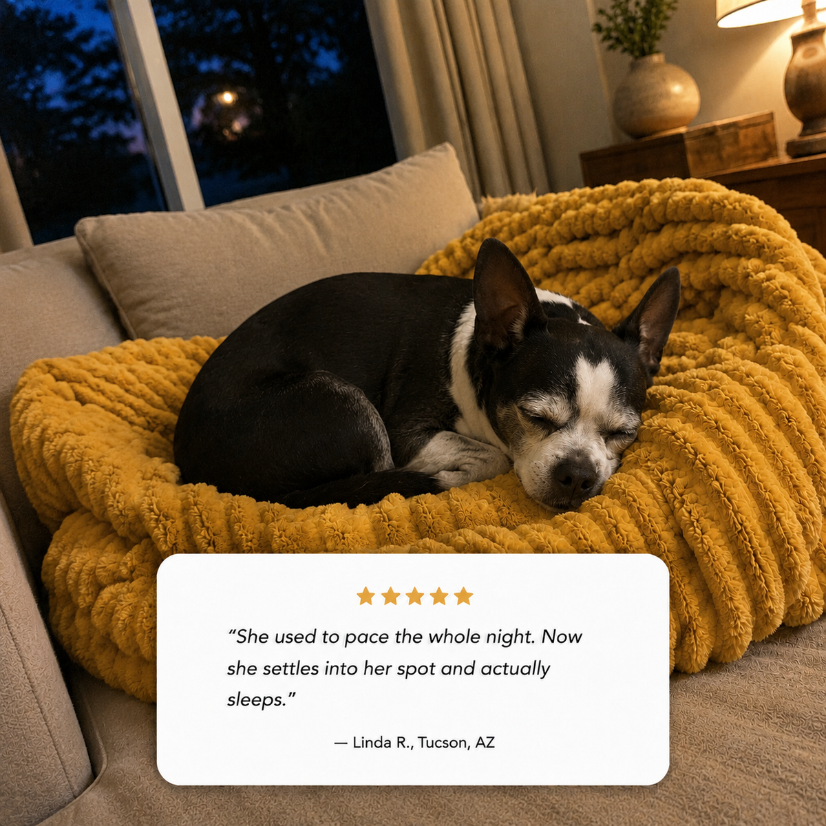 Emotional Support Blanket