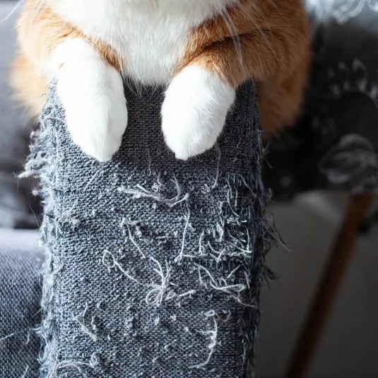 Say goodbye to shredded furniture
