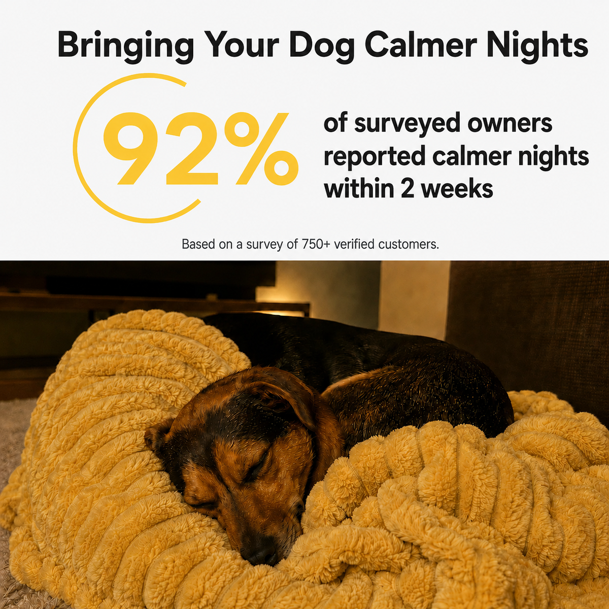 Emotional Support Blanket