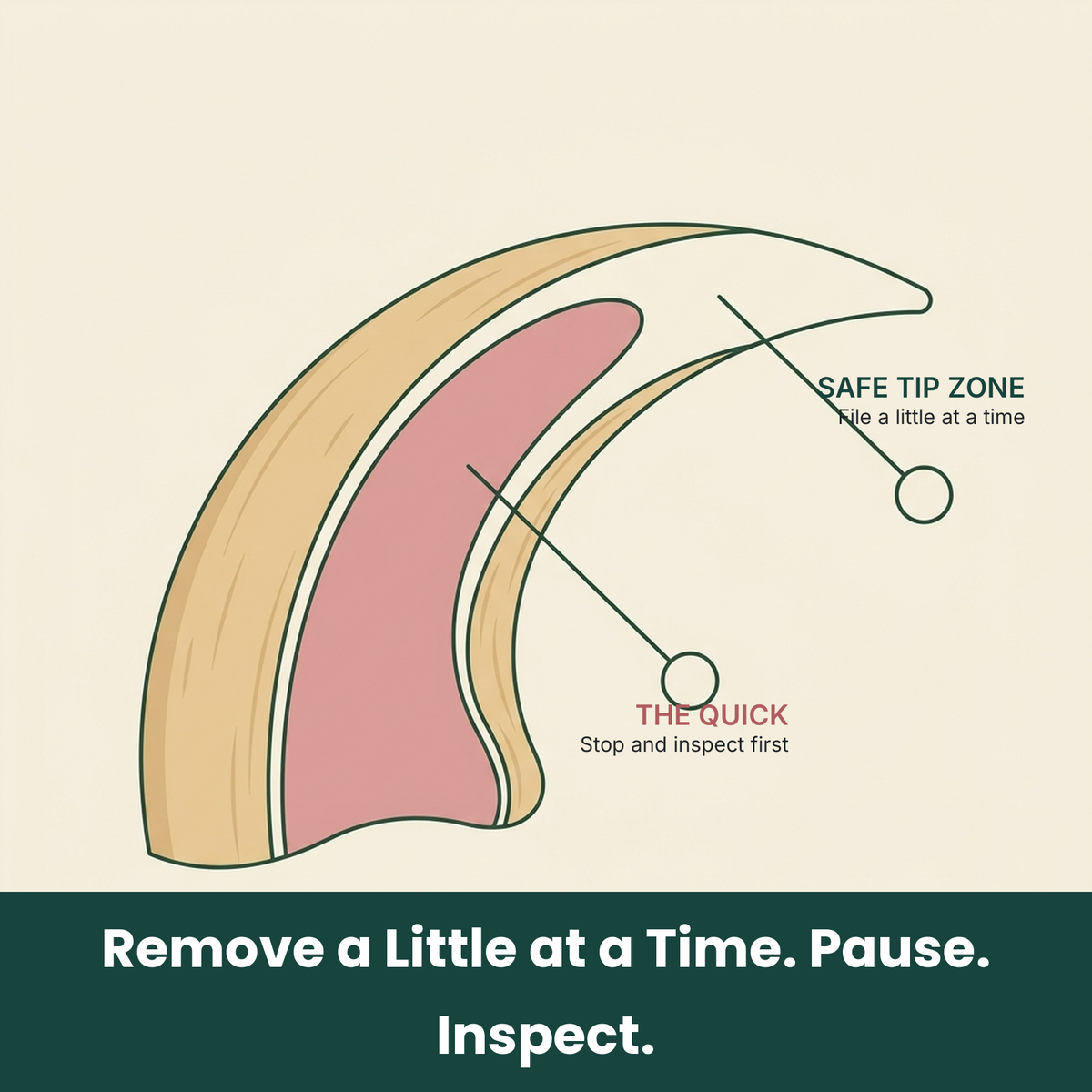 PetRoot™ Silent Trim Pro