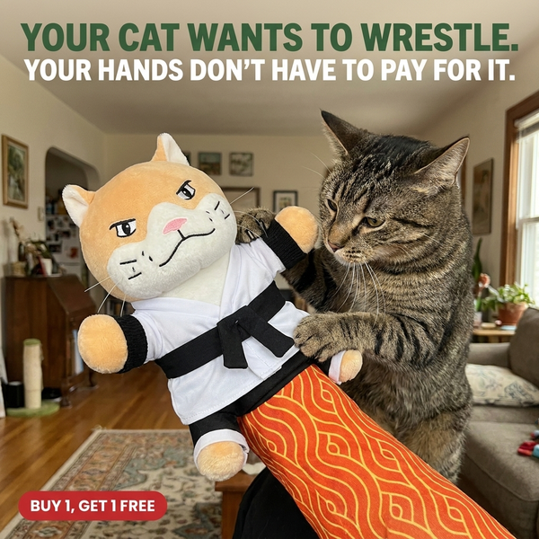 Cat wrestling Karate Kitty while the toy is worn on its owner's arm, buy 1 get 1 free offer.