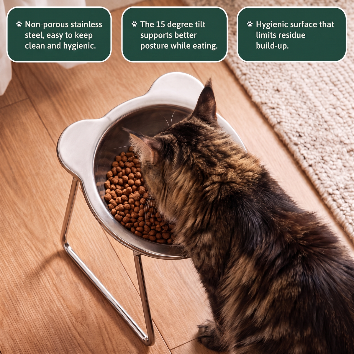 Maine Coon cat eating from the PetRoot bowl with non-porous, tilted and hygienic feature callouts.