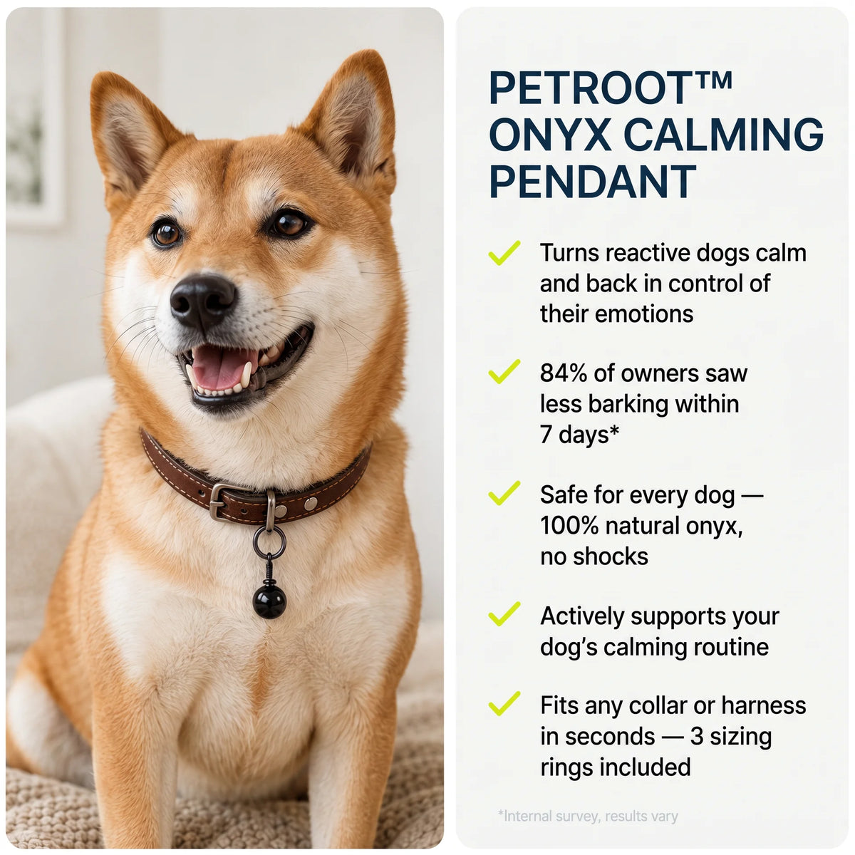 PetRoot™ ANTI-BARKING STONE PENDANT