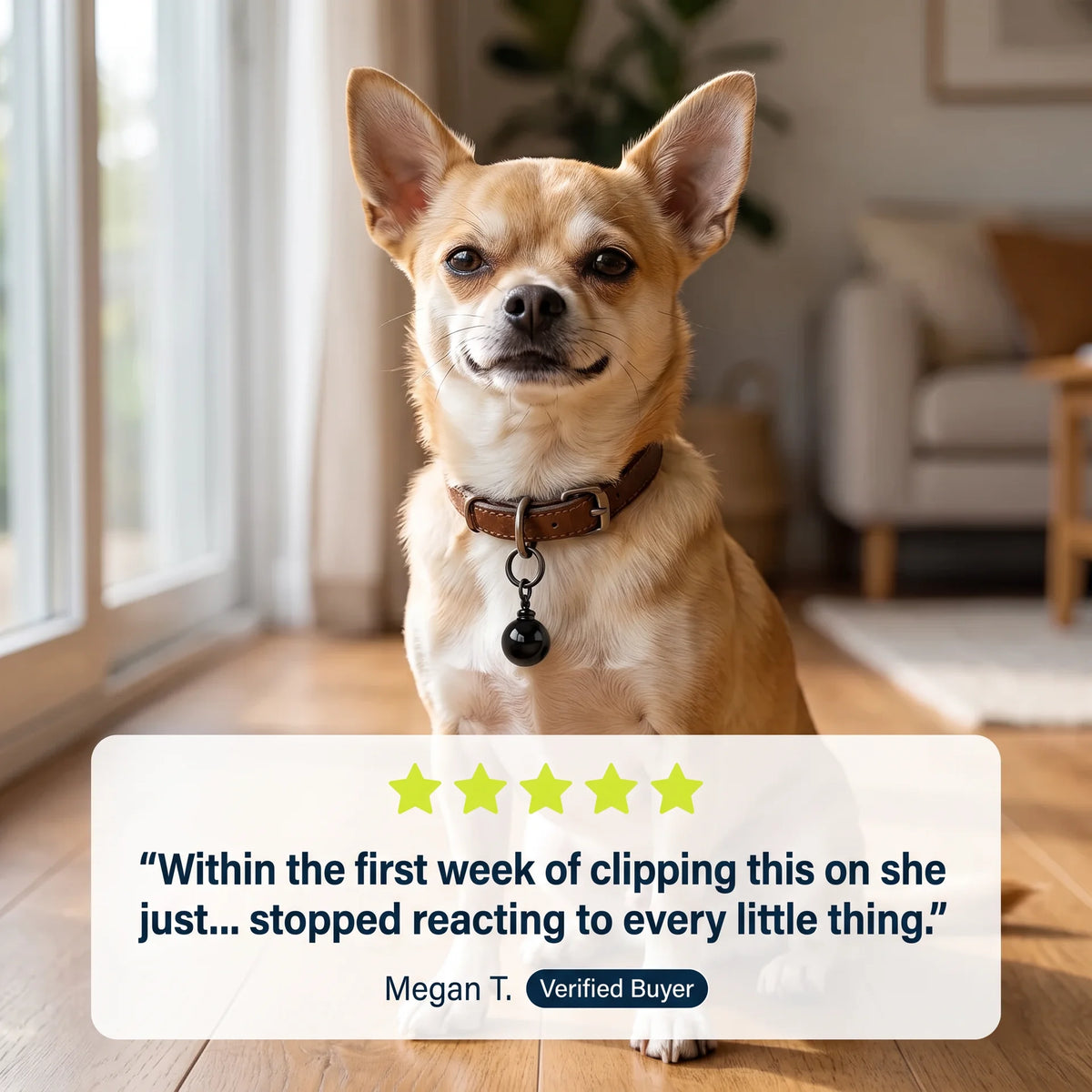 PetRoot™ ANTI-BARKING STONE PENDANT