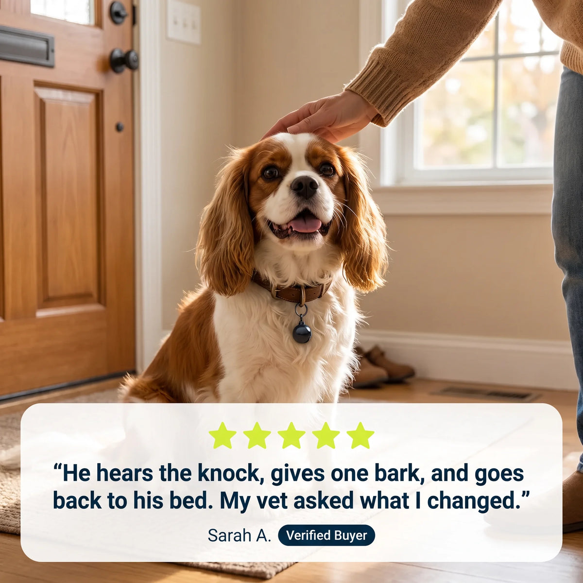 PetRoot™ ANTI-BARKING STONE PENDANT