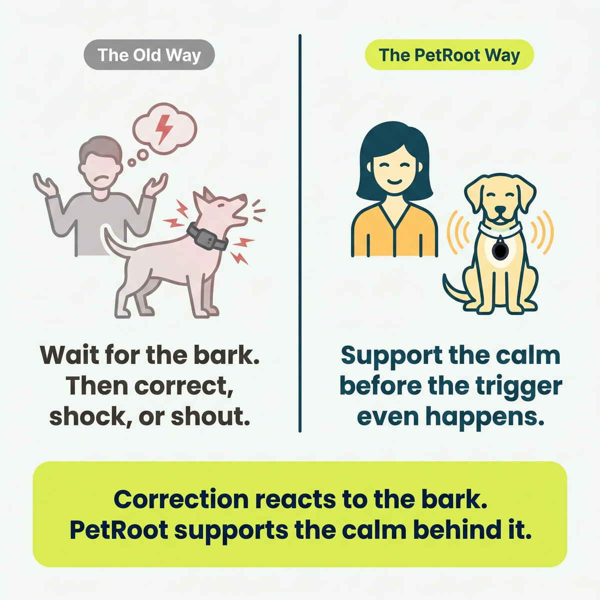 PetRoot™ ANTI-BARKING STONE PENDANT
