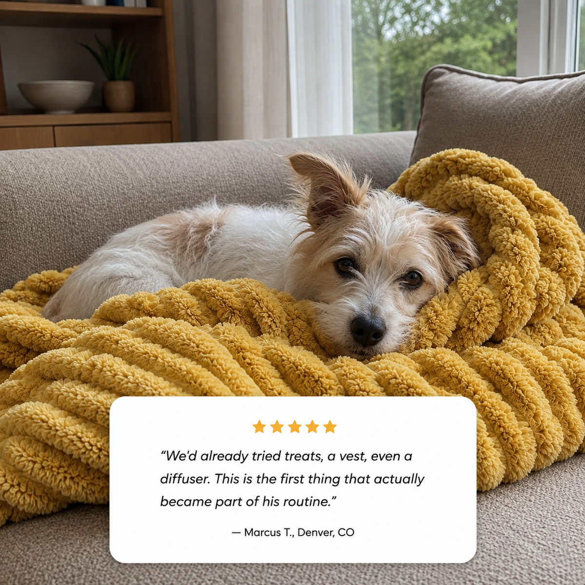 Emotional Support Blanket