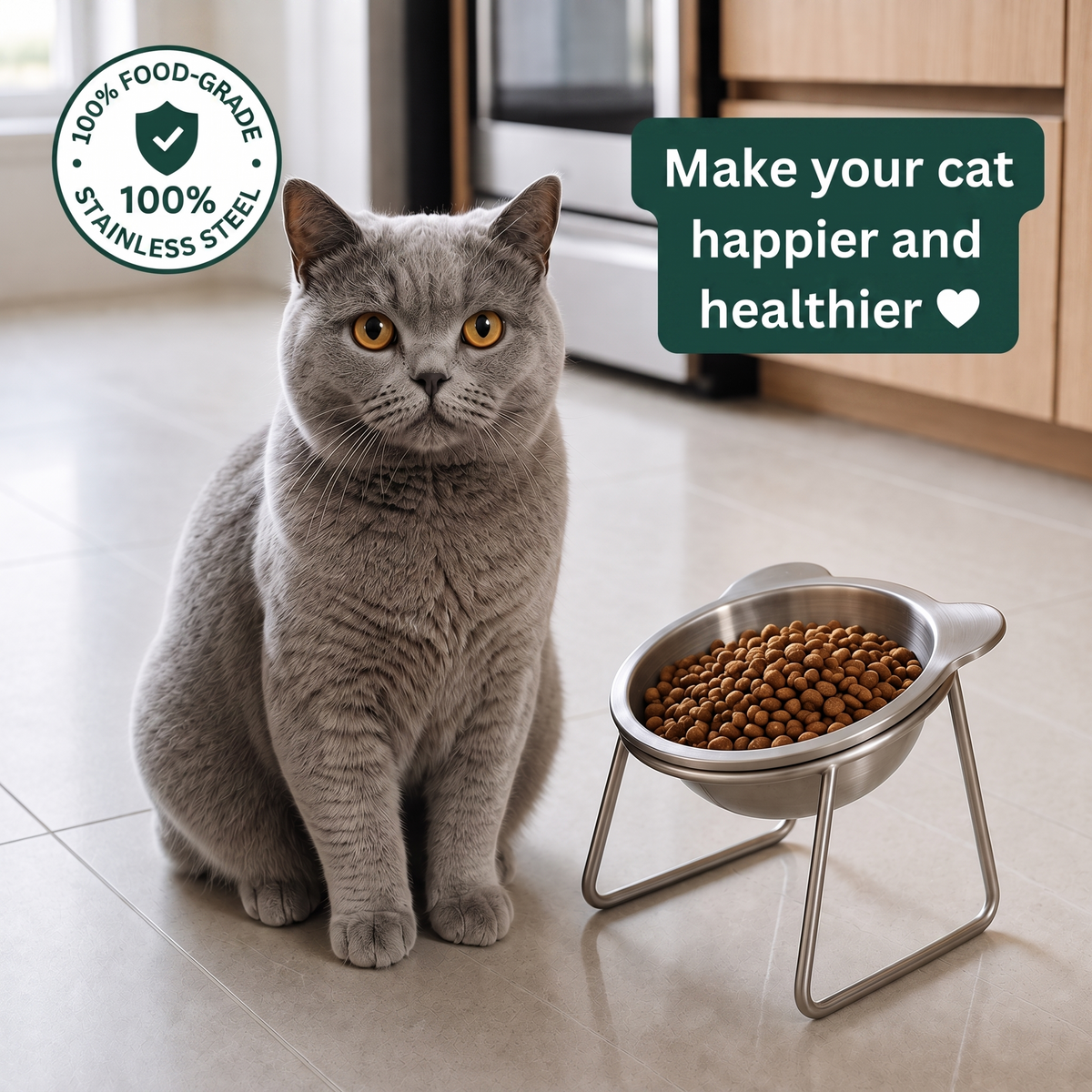 Grey cat sitting beside the PetRoot orthopedic stainless steel cat bowl on its elevated stand.