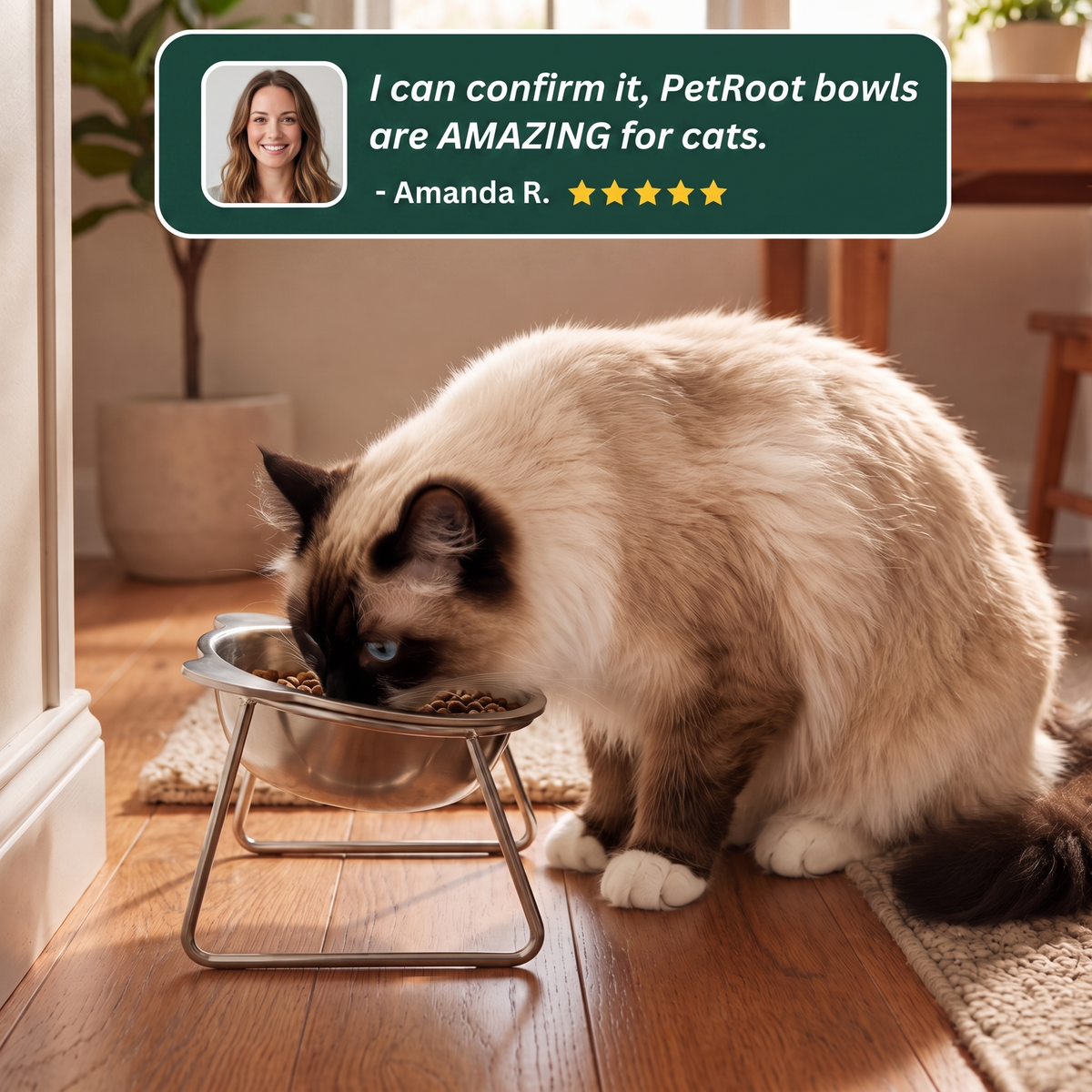 Long-haired cat eating from the PetRoot bowl with a five-star customer testimonial.