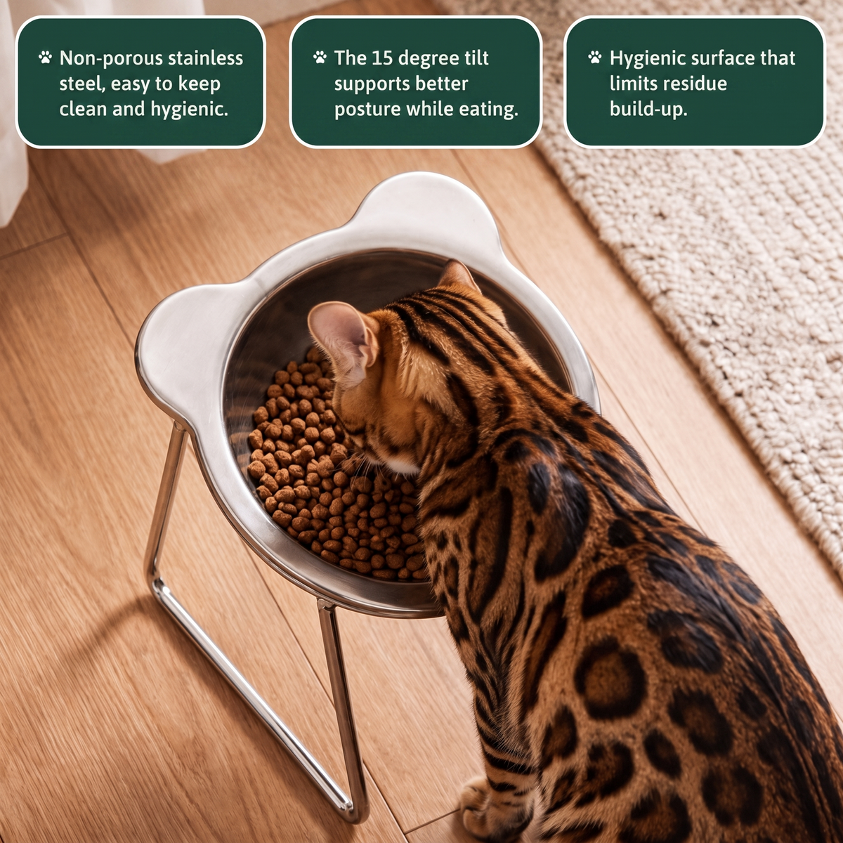Bengal cat eating from the PetRoot bowl with non-porous, tilted and hygienic feature callouts.