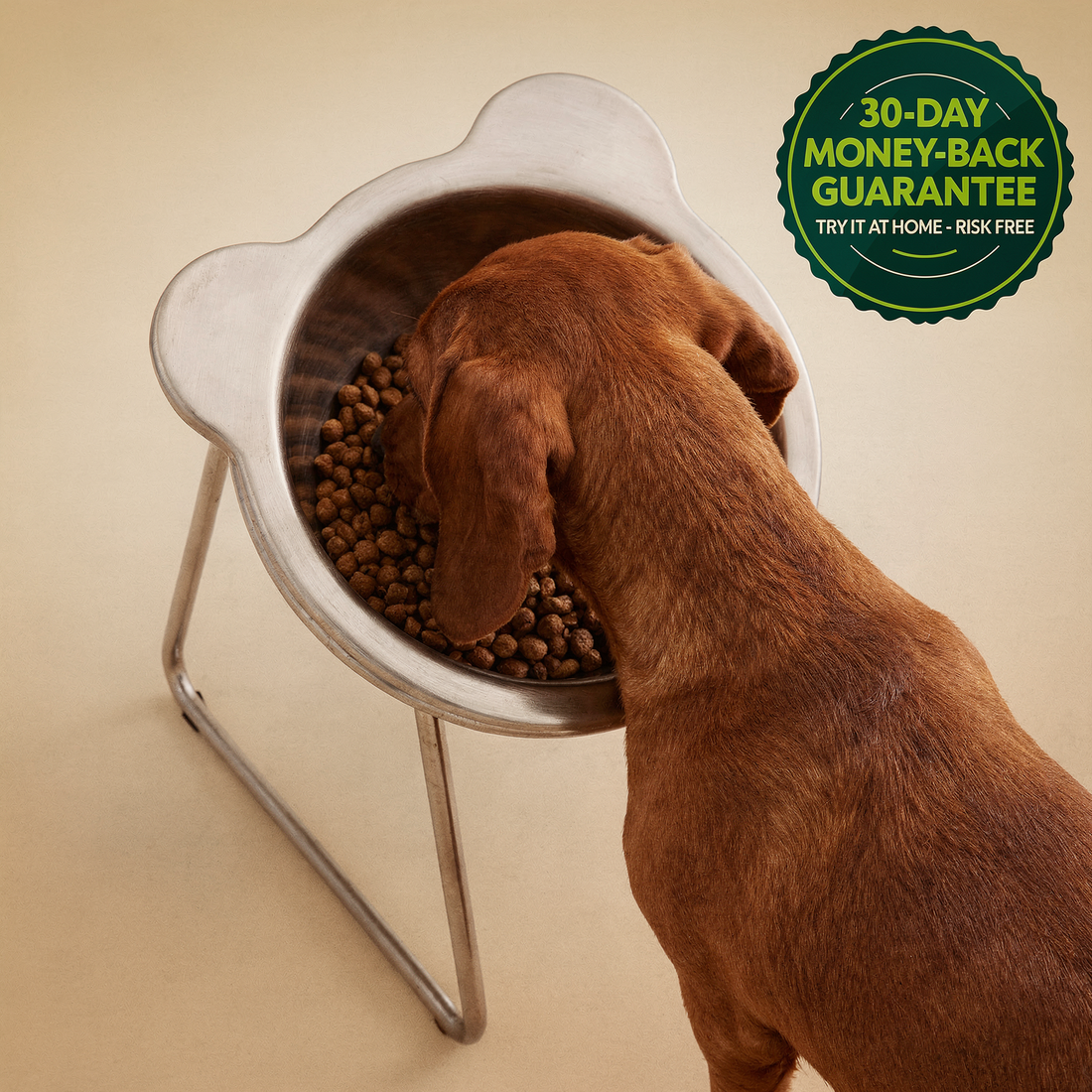 PetRoot Orthopedic Bowl with a 30-day money-back guarantee badge.