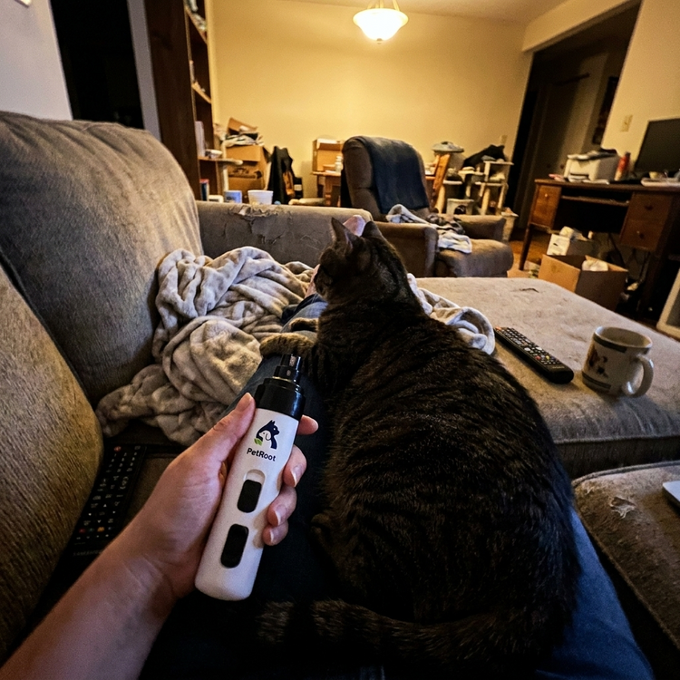 PetRoot Silent Nail Trimmer — customer photo of a tabby cat resting on a lap during a nail session