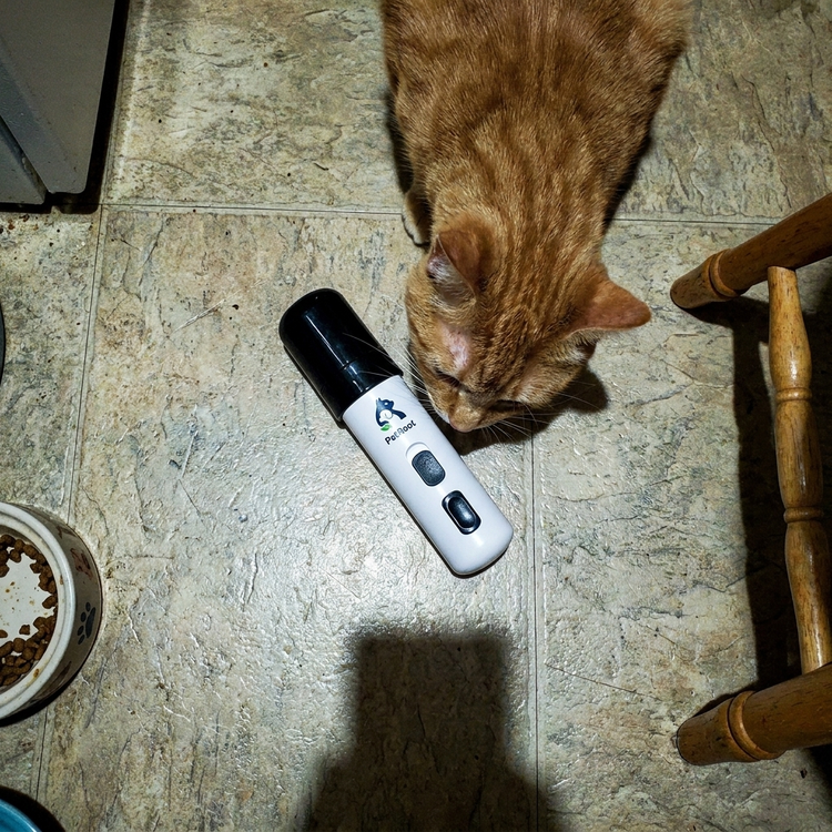 PetRoot Silent Nail Trimmer — customer photo of a ginger cat sniffing the switched-off trimmer