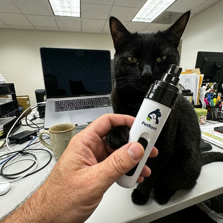 PetRoot Silent Nail Trimmer — customer photo of a black cat on a desk during a short nail session