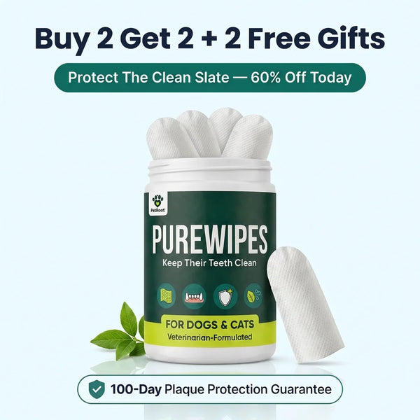 PureWipes Protection Kit