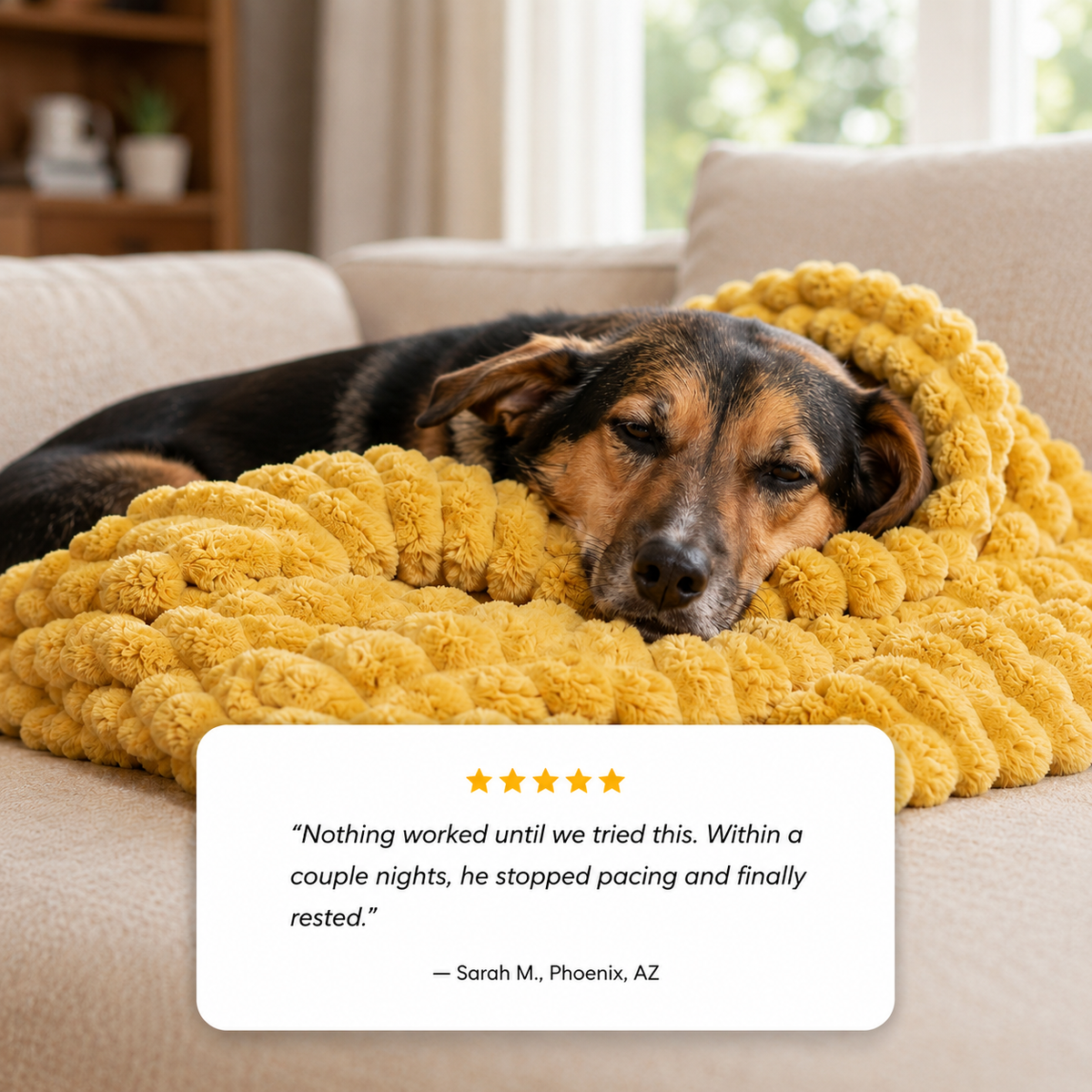 Emotional Support Blanket